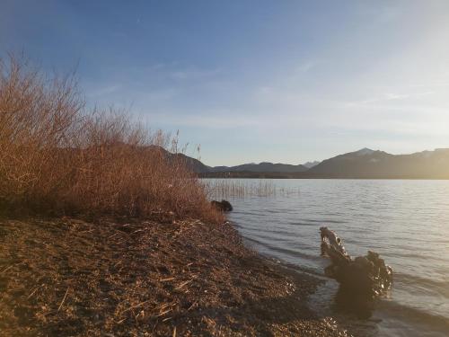 a body of water with mountains in the background at Apartment Andrea - Chiemgau Karte in Inzell