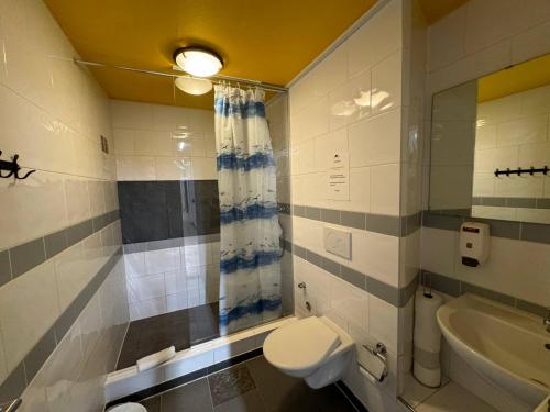 a bathroom with a toilet and a sink at Downtown Apartments in Interlaken