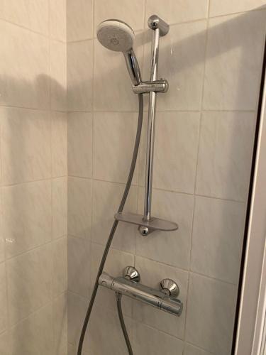 a shower with a shower head in a bathroom at Les pampas in Montbronn