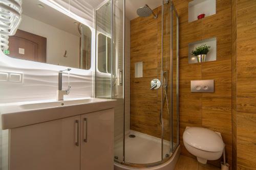 a bathroom with a shower and a toilet and a sink at Karpacz4you - "NAD ŁOMNICZKĄ" Apartament przy Deptaku z Garażem - Wakacje 2024 in Karpacz