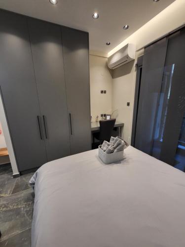 Una cama o camas en una habitación de Modern studio 3 in Veria center, near Elia square