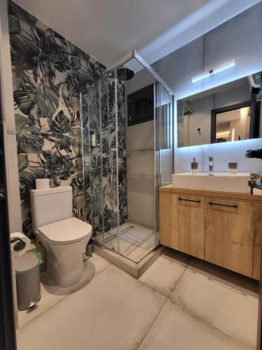 y baño con aseo, ducha y lavamanos. en Modern studio in Veria center, near Elia square, en Veria