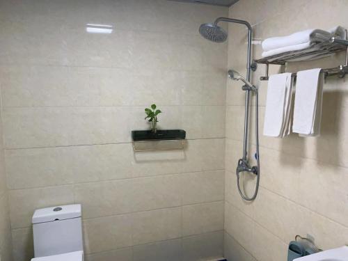 a bathroom with a shower and a toilet and a plant at Emeishan Hongzhao Hotel in Emeishan City