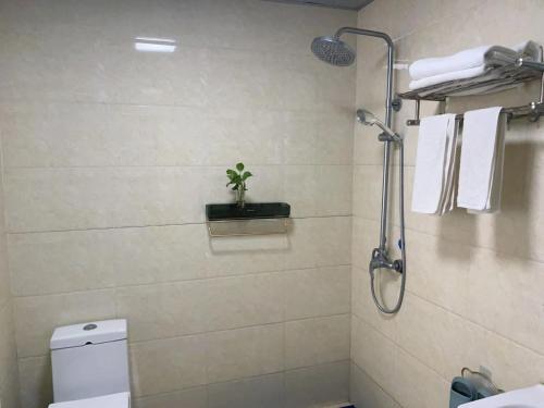 a bathroom with a shower and a toilet and a plant at Emeishan Hongzhao Hotel in Emeishan