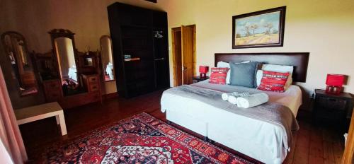 a bedroom with a large bed with red and blue pillows at Mountainview Vineyards in Robertson