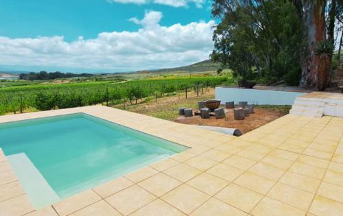 a swimming pool in a patio with a view of a vineyard at Mountainview Vineyards in Robertson