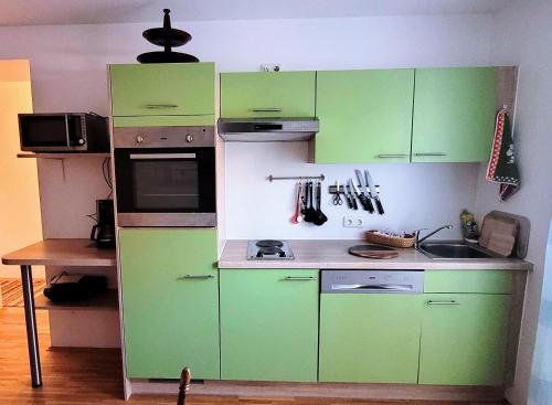 a small kitchen with green cabinets and a sink at Obersdorfer Hof in Bad Mitterndorf