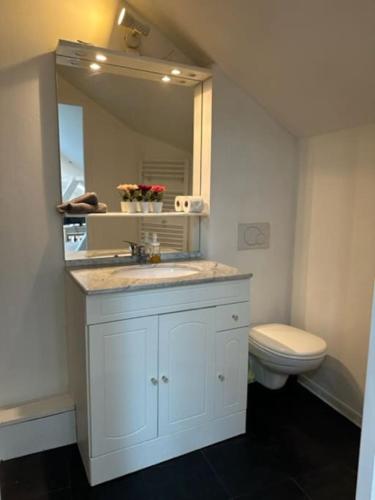 une salle de bain avec un lavabo, des toilettes et un miroir dans l'établissement Petit Loft Centre Ville Historique proche GARE TGV, à Mulhouse