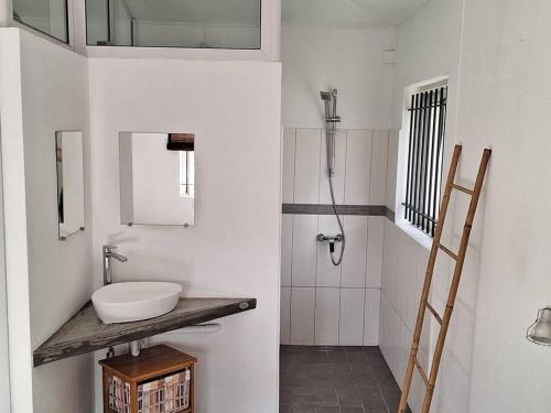 La petite salle de bains est pourvue d'un lavabo et d'une douche. dans l'établissement Maison Tamarin - Riviere Noire pour 5 personnes, à Rivière Noire