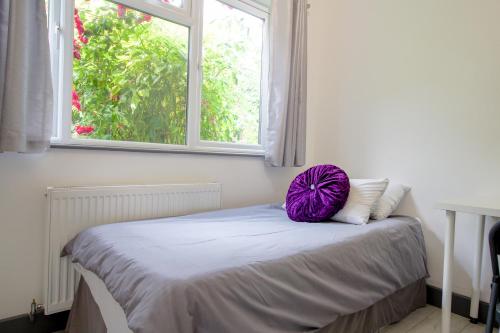 a bed with a purple pillow on it in a room with a window at London Elegant New Studio in London