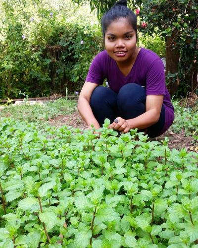 a woman squatting in a field of green plants at Banteay Srey Women's Only Traditional Spa and Homestay in Kampot