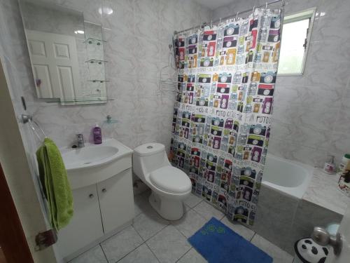 La salle de bains est pourvue de toilettes, d'un lavabo et d'une douche. dans l'établissement Acogedora cabaña en el campo. Cerca de la ciudad., à Villarrica