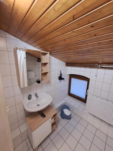 uma casa de banho com um lavatório e um espelho em Ferienwohnung Schulze em Hohenwestedt