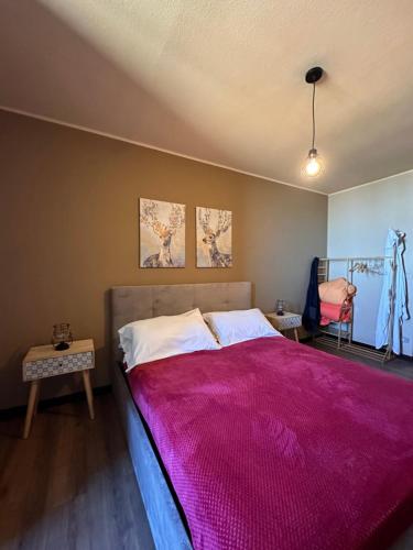 a bedroom with a large bed with a pink blanket at Rifugio con vista Montagna e Accesso Diretto Alle Piste in San Massimo