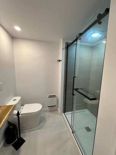 a bathroom with a toilet and a glass shower at L’espace Mysa - Studio Lugna in Mont-Tremblant