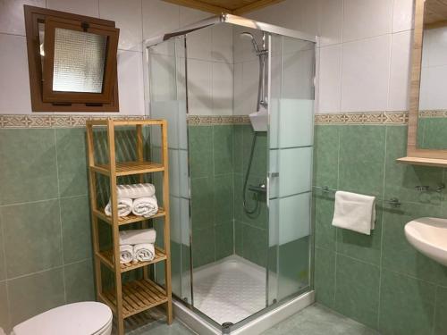a bathroom with a shower and a toilet and a sink at La Casita Vibbecanarias Tunte in San Bartolomé