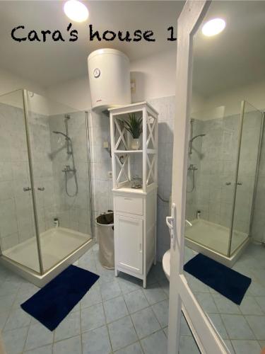 a bathroom with two showers and a toilet and a sink at Cara's house in Ljubljana