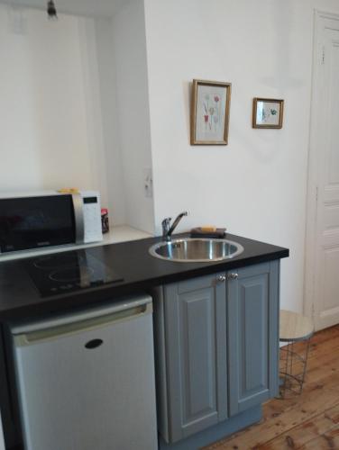 une cuisine avec un évier et un micro-ondes dans l'établissement La Maison de Silly, à Silli-en-Gouffern