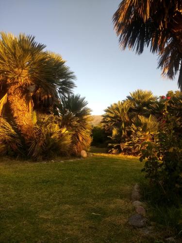 Morada de encuentro – Photos 5