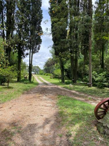 een onverharde weg met een bank in een park bij La Foresta in Rincón del Pino