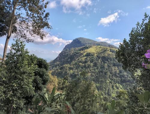 a view of a mountain with trees in the foreground at Neon Sky Nest in Ella