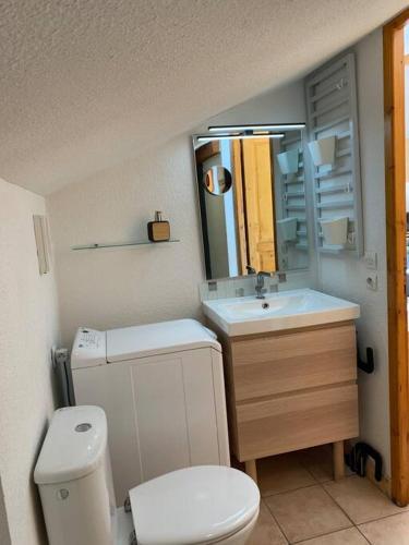 une salle de bain avec toilettes, lavabo et miroir dans l'établissement Appartement vue piste de ski, à Praz-sur-Arly