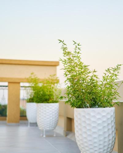 three large white vases with plants in them at Westwood Residences in Arusha
