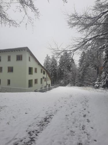 a snow covered road in front of a building at Apartment - Golden Fox 18 - Pohorske terase in Pohorje