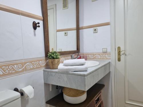 a bathroom with a sink and a mirror at El Rincón del Alba in Benasque