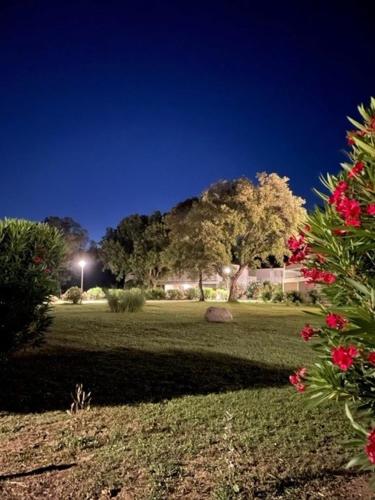 um parque à noite com uma luz e árvores em Appartement à Cala Rossa em Lecci