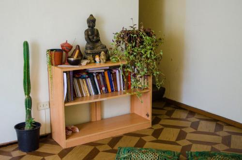 une étagère avec des livres et des plantes dans une pièce dans l'établissement Habitación céntrica Valparadise, à Valparaíso