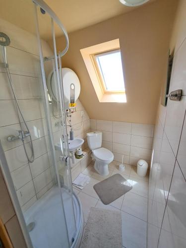 y baño con ducha y aseo. en Vidiecky dom, en Stará Bašta