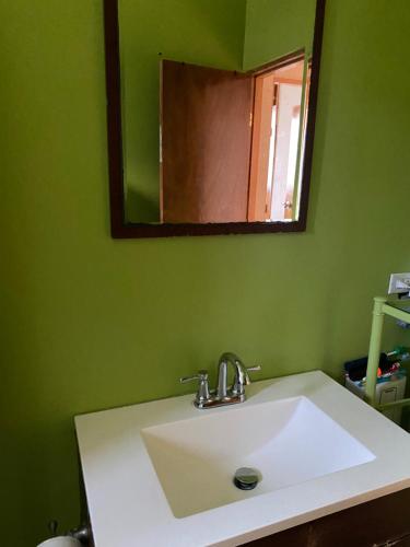 a sink in a green bathroom with a mirror at Top of the Hill Blue Sunshine in Long Swamp