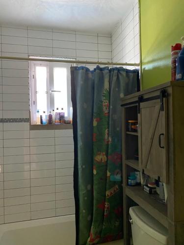 a bathroom with a shower curtain and a toilet at Top of the Hill Blue Sunshine in Long Swamp