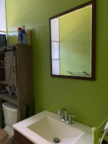 a green bathroom with a sink and a mirror at Top of the Hill Blue Sunshine in Long Swamp