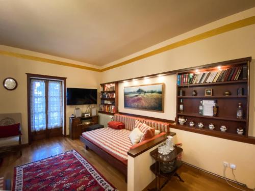 a living room with a couch and book shelves at Villa Arcturia in Nimfaíon