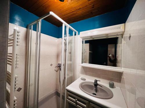 a bathroom with a sink and a mirror and a shower at Studio Les Saisies, 1 pièce, 4 personnes - FR-1-293-158 in Les Saisies