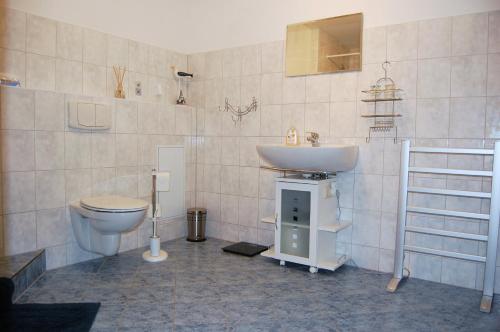 Flecken ZechlinにあるFerienwohnung Peiseのバスルーム(トイレ、洗面台付)
