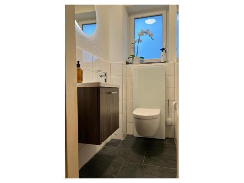 baño con aseo y lavabo y ventana en Haus im Schwarzwald, en Lenzkirch