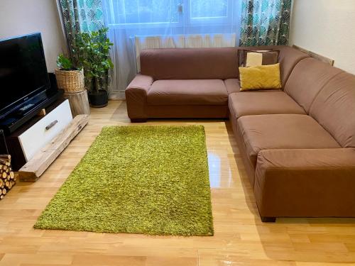 a living room with a brown couch and a green rug at Tóparti Kuckó in Mályi