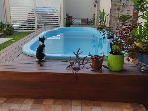 a cat sitting on a deck next to a swimming pool at Casa com Piscina perto da praia in Salvador