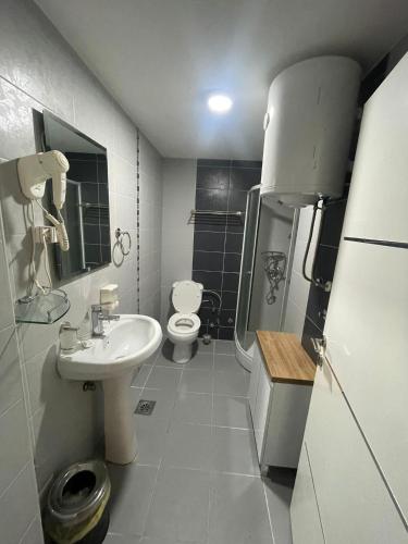 a small bathroom with a sink and a toilet at Mujen Lux Kopaonik - Superior Apartman in Kopaonik