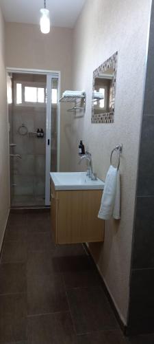 a bathroom with a sink and a shower at El Bagual de Monte XL in San Miguel del Monte