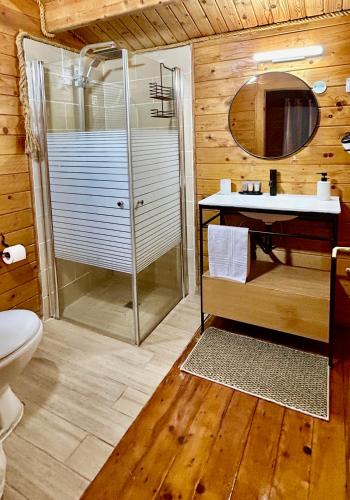 a bathroom with a shower and a sink and a toilet at פינה ברמות - צימרים לנוף הכנרת in Moshav Ramot