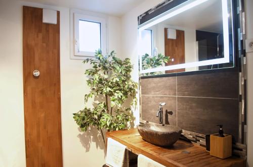 bagno con lavandino in pietra e specchio di Eco-Appart'hôtel Rouen -- BDE a Rouen