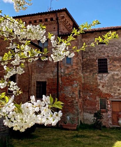 Il Corvo Viaggiatore – Photos 4