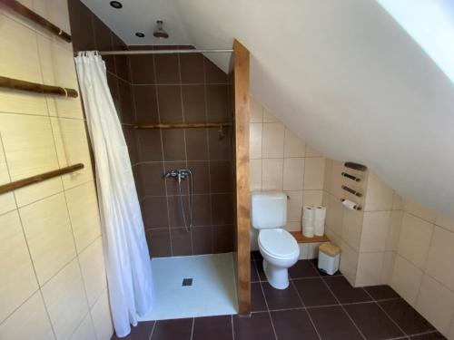 a bathroom with a shower and a toilet in a attic at La maison paisible in Guéméné-Penfao