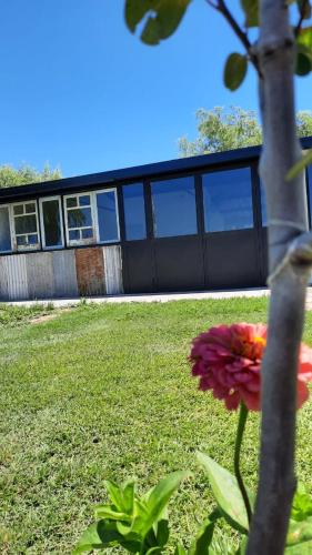 a flower in a yard with a building in the background at La Quinta de LOS ABU in Ramallo