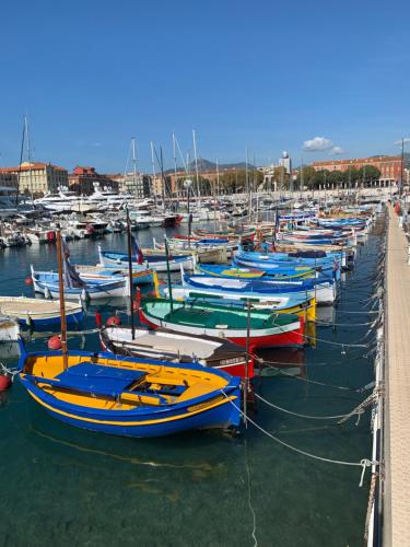 Um monte de barcos estão ancorados num porto. em Sainte Rosalie em Cannes