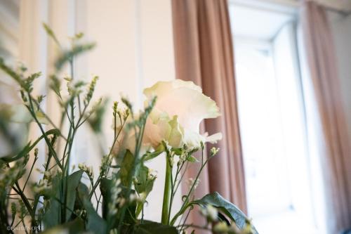 a white flower in a vase next to a window at Villa Republique Normandie Liberté in Caen